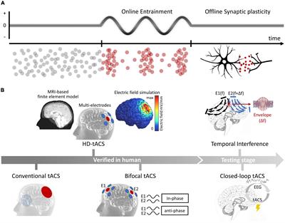 Transcranial alternating current stimulation for the treatment of major depressive disorder: from basic mechanisms toward clinical applications